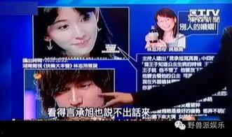 娱乐吃瓜蜀黍广告视频